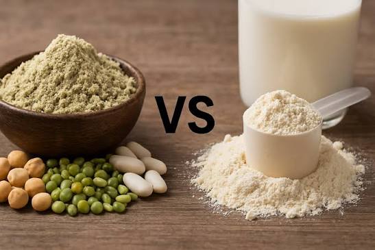 Best Protein Powders for Dialysis Patients: Whey vs Plant-Based Compared
